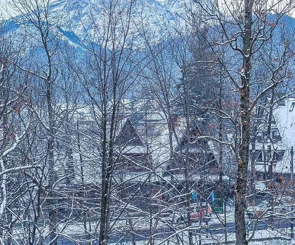 بيت ضيافة Zakopianskie Widoki