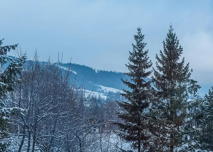 Zakopiańskie Widoki Pensjonat 3*